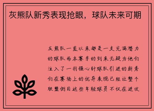 灰熊队新秀表现抢眼，球队未来可期