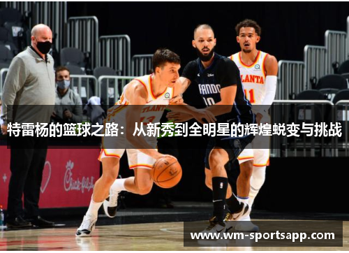 特雷杨的篮球之路：从新秀到全明星的辉煌蜕变与挑战